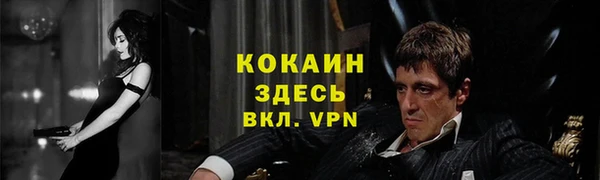 крисы Зеленодольск