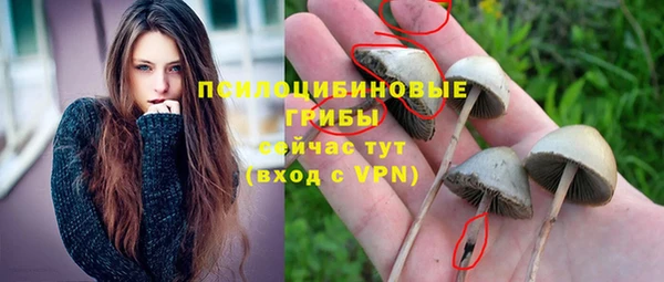 2c-b Протвино