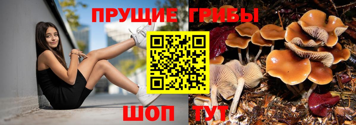 Псилоцибиновые грибы прущие грибы  Псилоцибиновые грибы мицелий  Слободской  Вход с VPN 