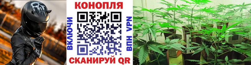купить   Слободской  МАРИХУАНА ГИДРОПОН 